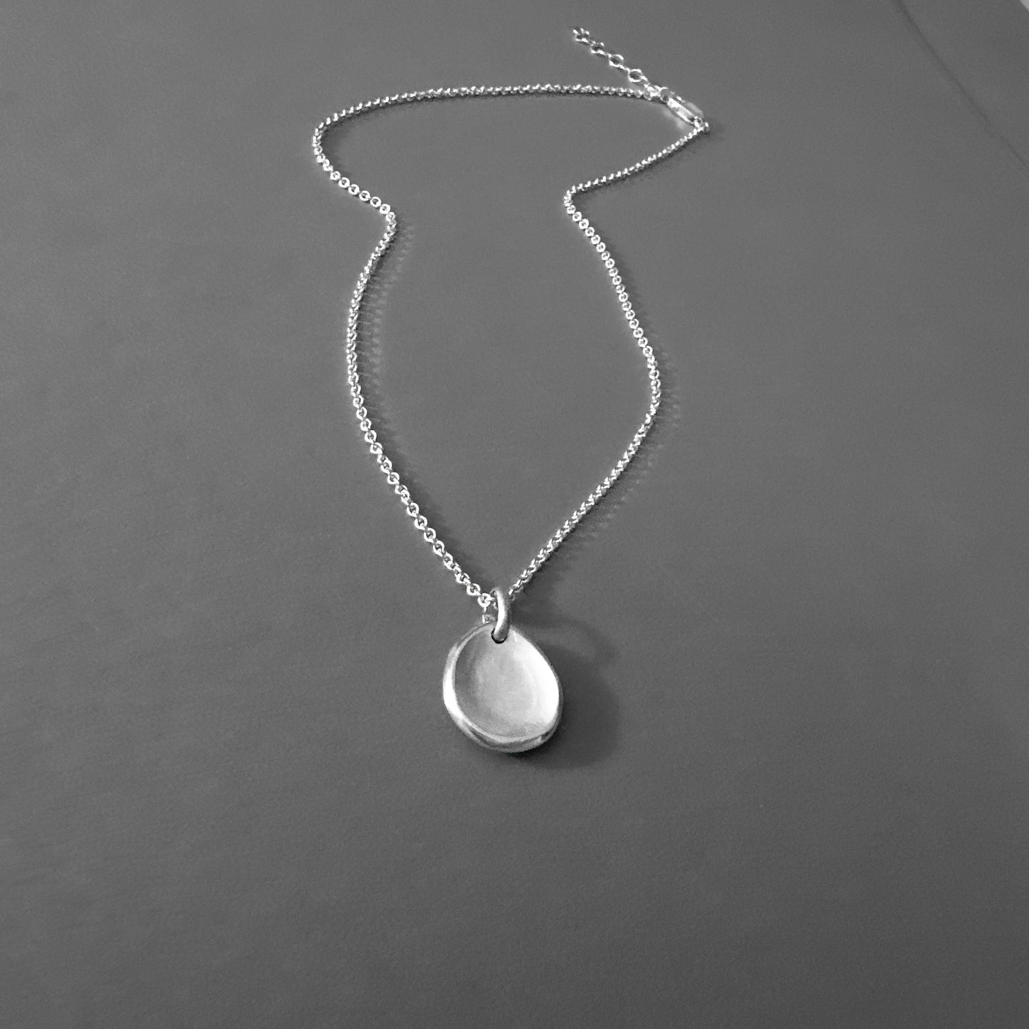 Sterling Silver Medallion Coin Pendant Necklace