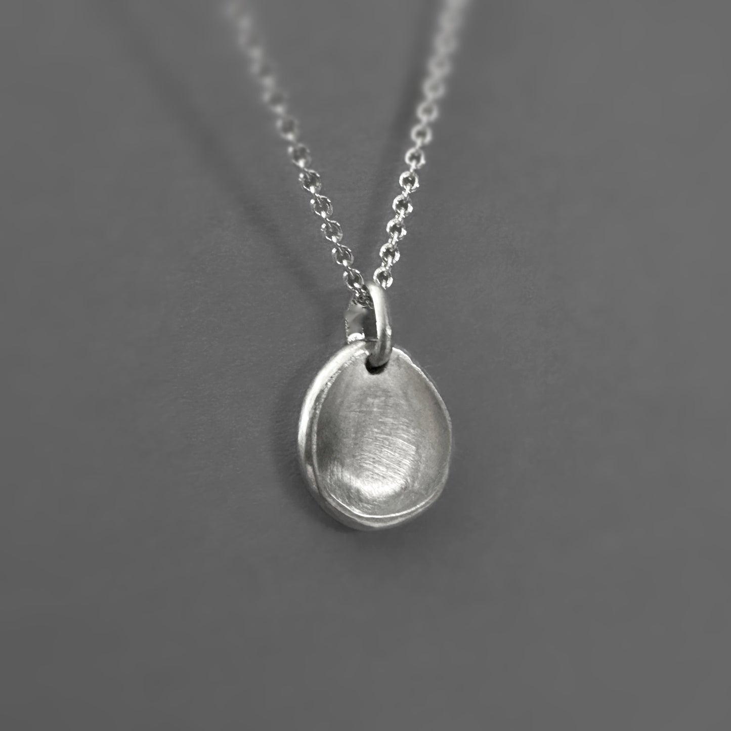 Sterling Silver Medallion Coin Pendant Necklace