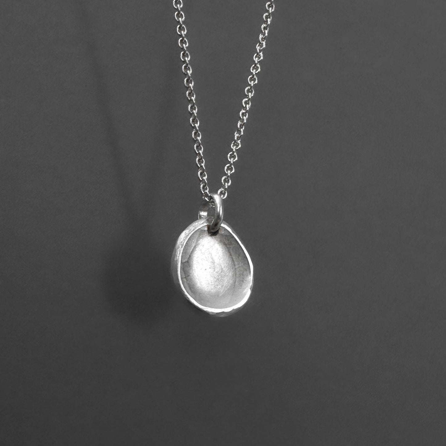 Sterling Silver Medallion Coin Pendant Necklace