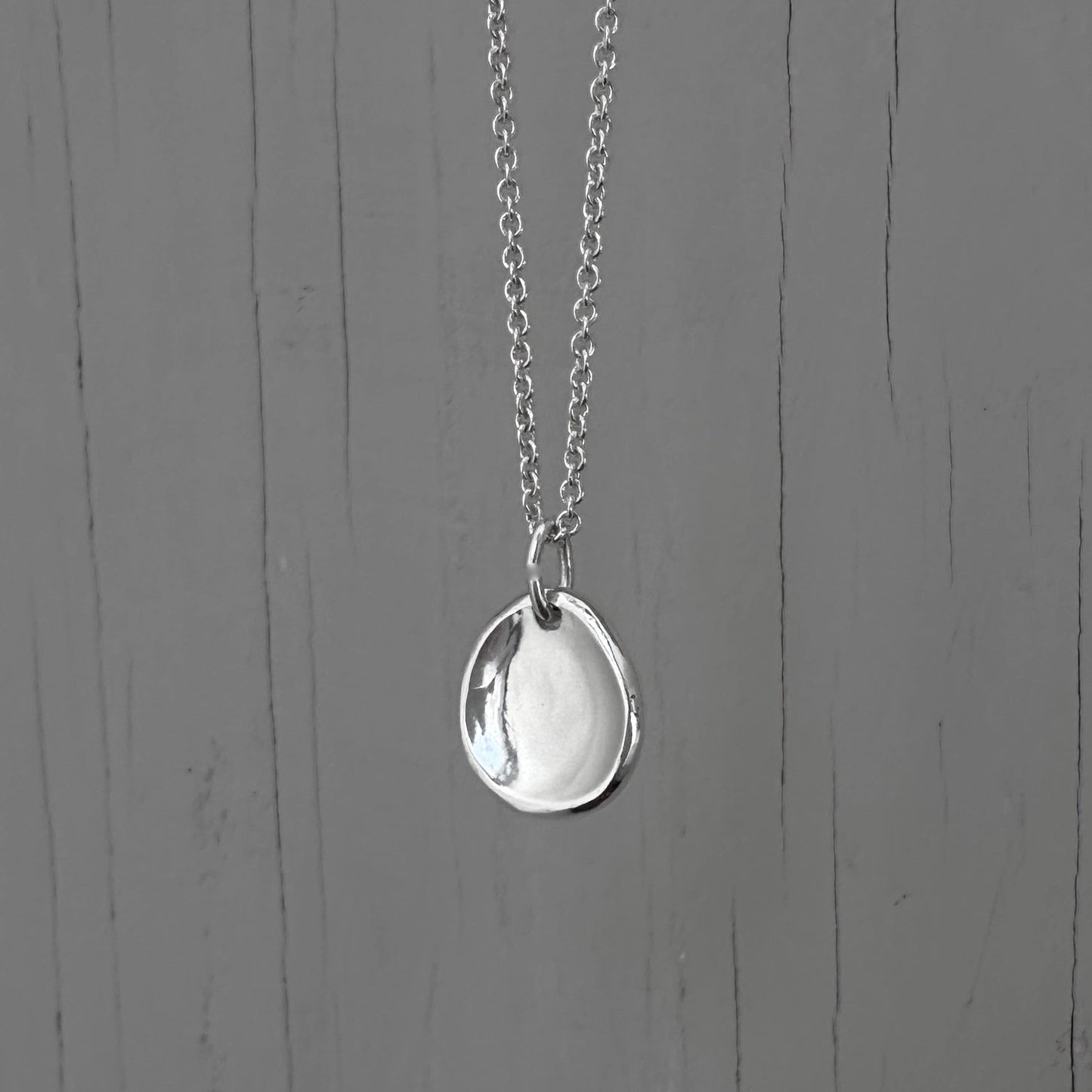 Sterling Silver Medallion Coin Pendant Necklace